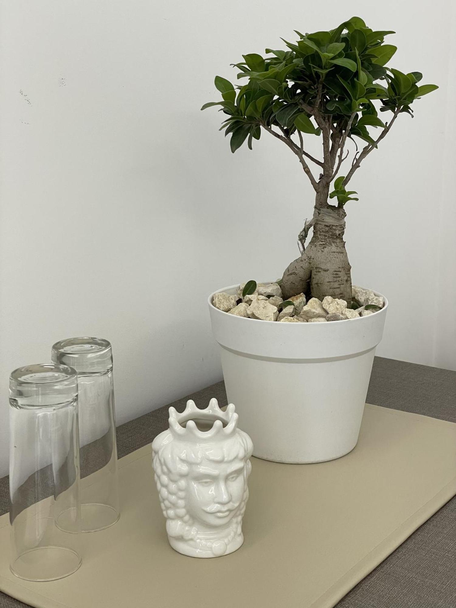 Paradise Sicily Rooms กาบาตาเบียโน ภายนอก รูปภาพ
